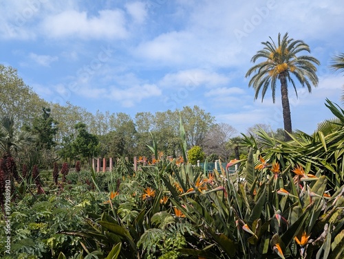 Park Exflora, Juan les Pins  France