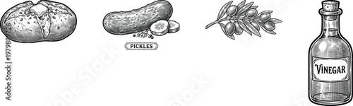 Pickle Food Vector Illustration with Ingredients