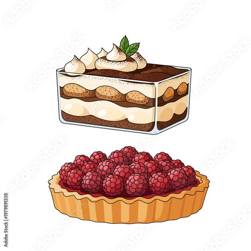 A delicious tiramisu dessert and a vibrant raspberry tart are presented in a charming illustration.