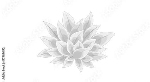 Stylized monochrome succulent plant illustration, simple graphic design, isolated on white background, botanical art