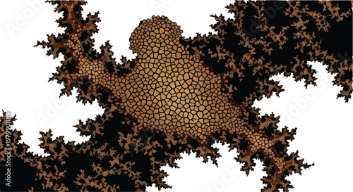Fractal pattern displays a complex mathematical geometry with intricate textures.