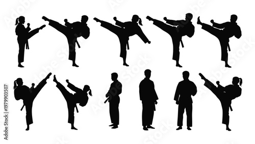 A collection of black silhouettes showcasing various karate stances and forms depicting dynamic martial arts movements high quality professional detailed modern