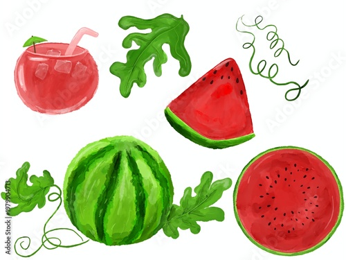 watercolor collection of watermelon 