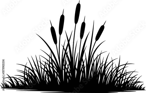 Black silhouette of cattails and tall grass against white background, wetland flora