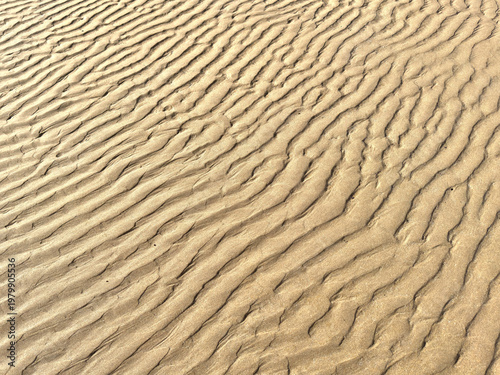 Sand ripple texture shaped by water movement at low tide. Natural abstract beach background with organic pattern and minimal aesthetic