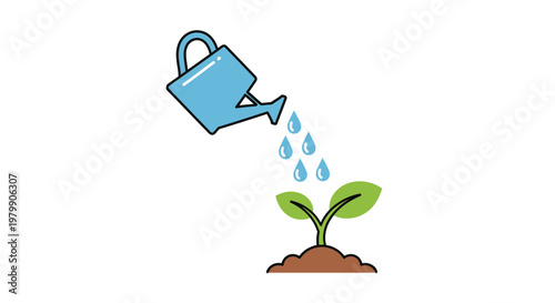Watering a small green plant.