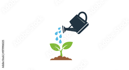 Watering a young green plant.