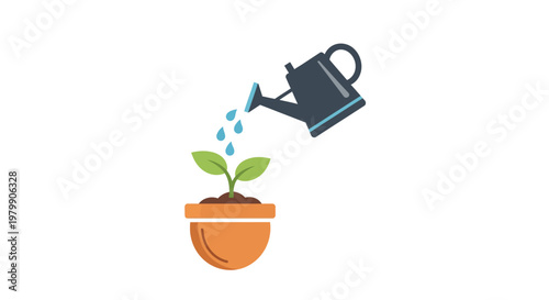 Watering a small green plant.