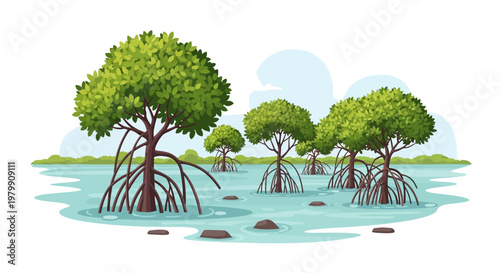 Mangrove trees in serene water with clear blue sky background