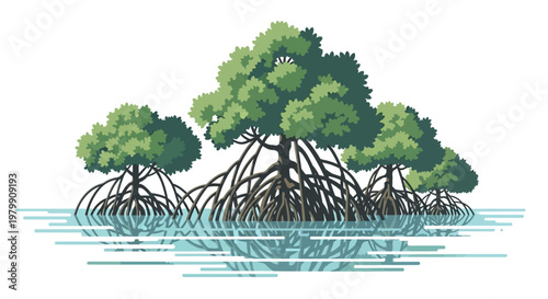 Illustration of mangrove trees with roots in calm water