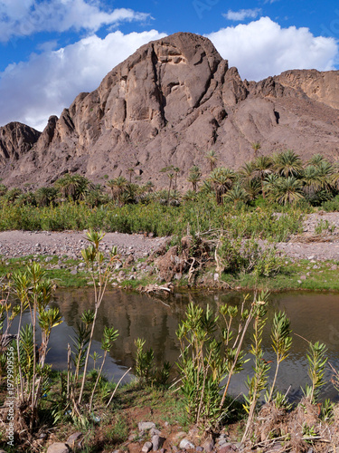 Rocky outcrop with face-like formation beside palm trees and stream in Draa Valley Morocco