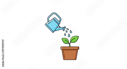 Watering small green potted plant.