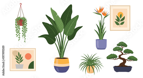 Collection of various green houseplants in decorative pots and framed botanical prints for home interior design.