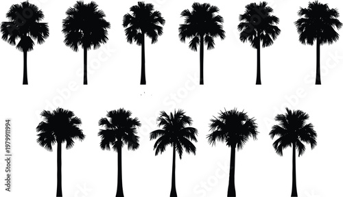 Palm tree silhouettes collection, tropical coconut trees vector set, summer beach nature landscape elements isolated black illustration design pack