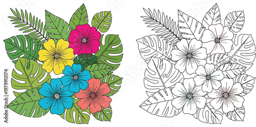 Tropical Floral Bouquet with Colorful Hibiscus Flowers and Monstera Leaves Coloring Page and Color Illustration Set for Kids Activity Vector Design