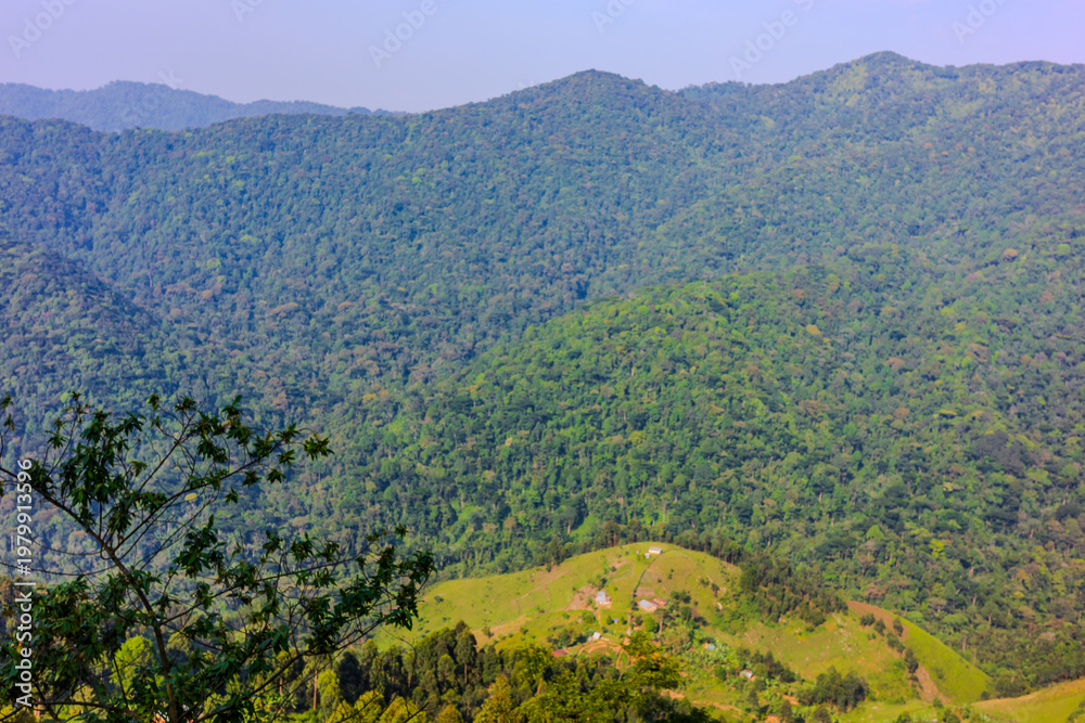 Fototapeta premium Green forested hills with small rural settlement