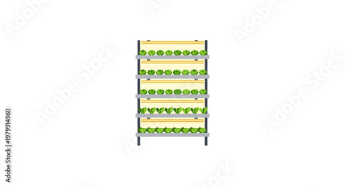 Green and yellow metal shelving unit.