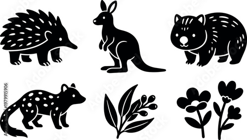 Australian animals with eucalyptus and flowers