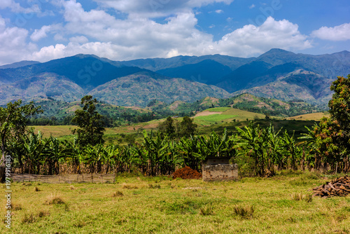 Rural farmland and Rwenzori Mountains landscape near Kasese in western Uganda