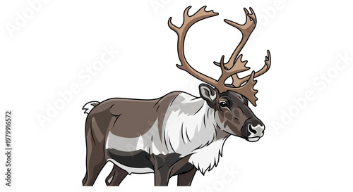 Majestic Reindeer with Antlers, Arctic Animal Illustration