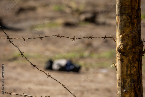 Close-up of a barbed wire fence against a blurred nature background. Texture.