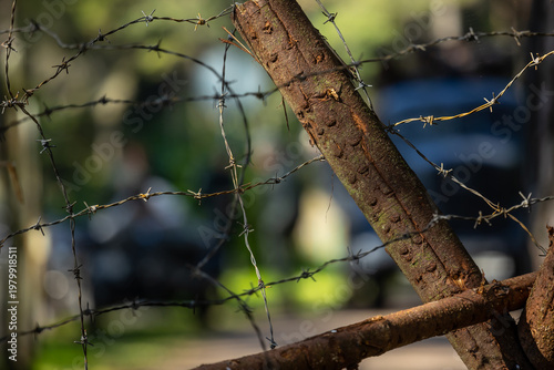 Close-up of a barbed wire fence against a blurred nature background. Texture.