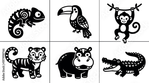 Chameleon toucan monkey tiger hippo and crocodile animals