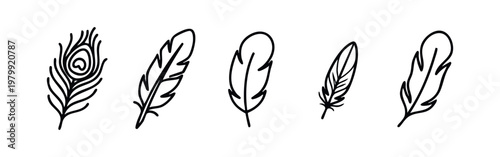 Feather Icons: Including Peacock Feather