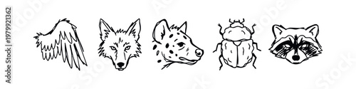 Sketchy illustrations of animal heads, a wing, and a beetle.
