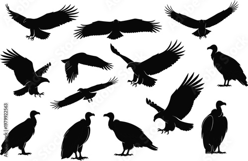 Sushi takeaway with cookies, wooden table background, packaged food, snack combination, Asian cuisine meal, plastic wrap dessert, casual dining scene