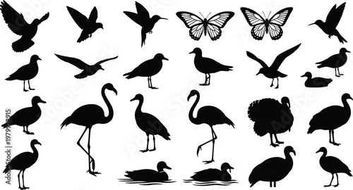 water birds silhouettes, ducks swans geese collection, aquatic animals, floating swimming poses, wildlife nature, black silhouettes, lake birds, isolated set