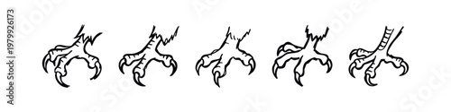Hand Drawn Bird Talon and Eagle Claw Sketches in Various Poses