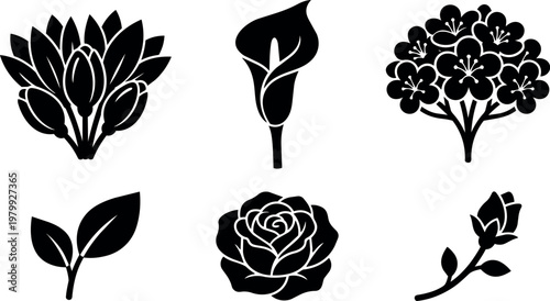 Black and white floral silhouettes with rose calla lily and buds