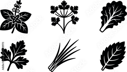 Black silhouette of six different herbs including basil cilantro and lettuce leaf vector art