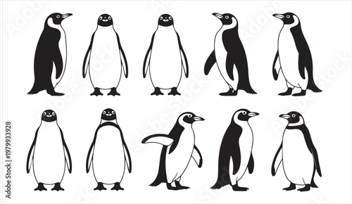 Minimal penguin illustration pack showing standing walking and sliding poses isolated on white