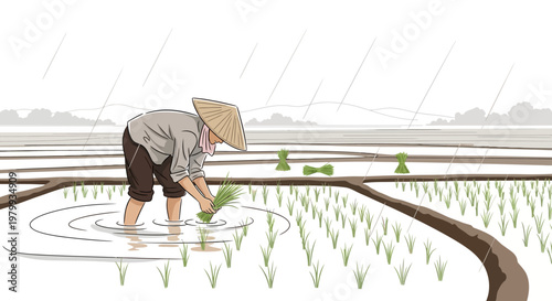 During the Grain Rain solar term, an illustration depicts a farmer planting rice seedlings in a paddy field under a gentle rain, reflecting traditional Chinese spring agriculture