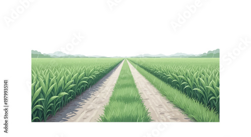 A vector illustration depicts a rural scene for the Grain Rain solar term, featuring a dirt road cutting through lush green fields in China, symbolizing spring agriculture with a clean