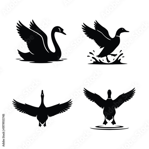 Set of elegant black waterfowl bird silhouettes including swan and ducks in various poses on water and in flight, isolated on white background.