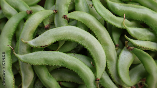 Full Frame Texture of Fresh Green Hyacinth Beans Background