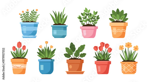 Selection of beautiful indoor house plants and blooming flowers in colorful decorative ceramic pots for home gardening and interior decoration.