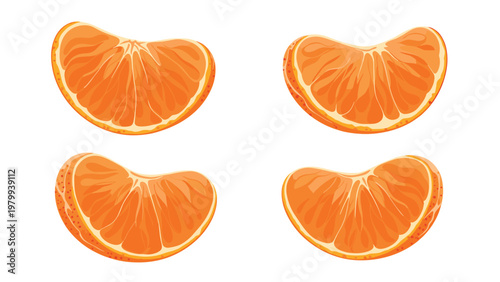 Realistic illustration of four fresh orange segments or tangerine slices showing juicy pulp details on a plain white background.