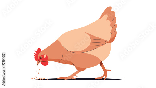 Illustration of a brown hen pecking at scattered grain on the ground isolated on a clean white background for farming.