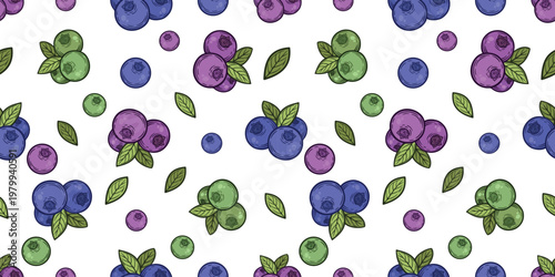 Colourful blueberry pattern, hand-drawn vector illustration, line art contour with fill, isolated, with leaves, single berry and group of three berries, seamless decorative fruit background for design