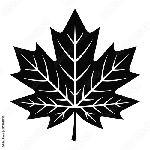 Black maple leaf silhouette icon isolated on white background