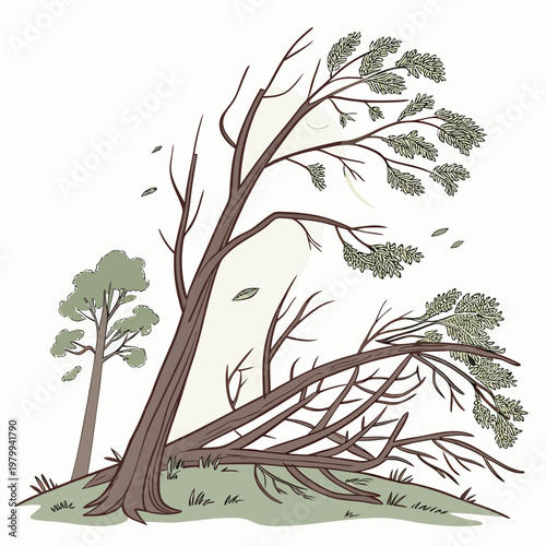 An illustration of a tree falling during a storm with leaves blowing away