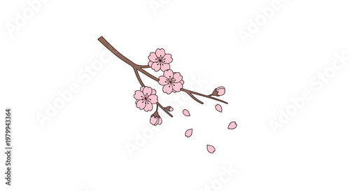 Pink Cherry Blossom Branch with Flowers.