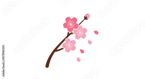 Pink Cherry Blossom Flower Branch.