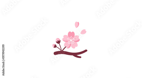 Pink Cherry Blossom Flower Branch.