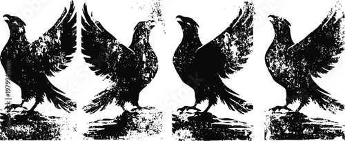 grunge black eagle illustrations set with distressed texture and spread wings on white background