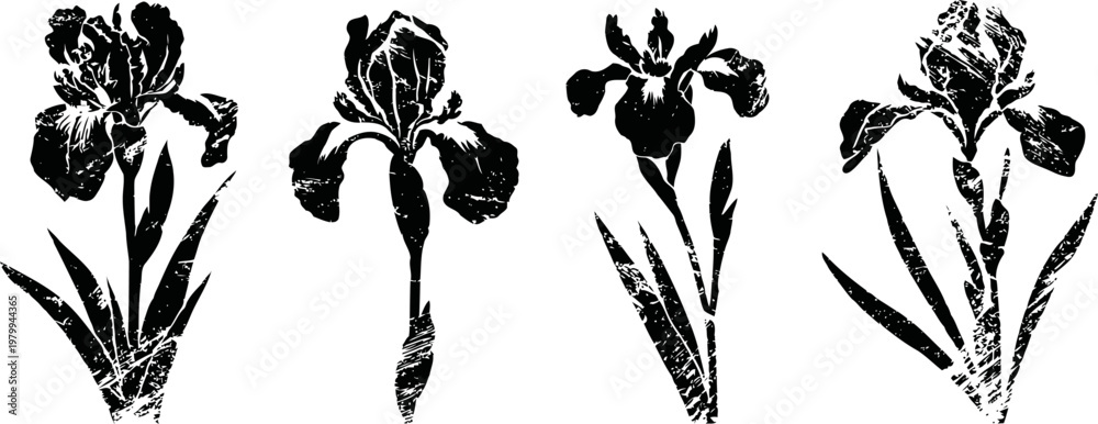 Naklejka premium Four black and white iris flower silhouettes with leaves on white background